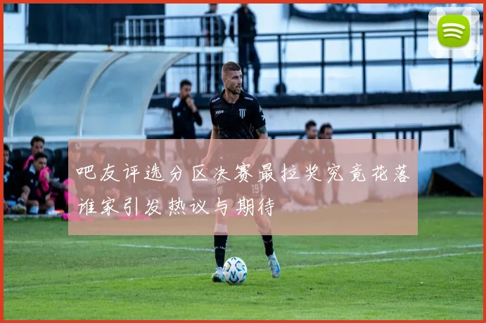 吧友评选分区决赛最拉奖究竟花落谁家引发热议与期待