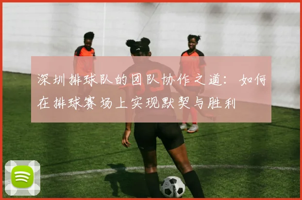 深圳排球队的团队协作之道：如何在排球赛场上实现默契与胜利